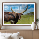 Longhorn and Cow Wall Art, Country Cow Wall Decor Canvas by MyGreatCanvas | Canvas Wall Art Prints | Photo Prints & Wall Decor