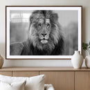 Black and White Lion Canvas Wall Art – Animal Print Artwork