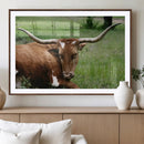 Longhorn Steer Canvas Wall Art – Rustic Nature Triptych