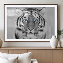 Black and White Tiger Wall Art Animal Canvas Print