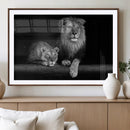Lion Family Wall Art Canvas Print – Framed Majestic Wildlife by MyGreatCanvas | Canvas Wall Art Prints | Photo Prints & Wall Decor