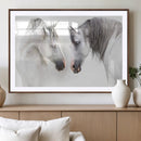 White Horse Wall Art Animal Canvas Print