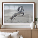 Prancing Horse Desert Large Wall Art Canvas Print – Majestic