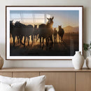 Horse Herd Wall Art Animal Canvas Print
