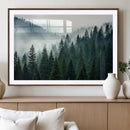 Captivating Misty Forest Wall Art Premium Canvas Print,