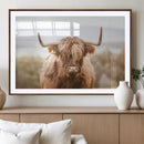 Scottish Serene Highland Cow Canvas Wall Art – Serene