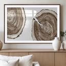 Wood Tree Ring Wall Art Canvas Prints, Tree Rings –