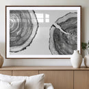 Abstract Large Tree Rings – Minimalist Black and White Wood