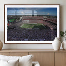 South Carolina Gamecocks Football Team Print - Columbia