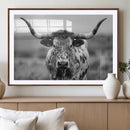 Texas Cow Longhorn Wall Art Canvas Print for Farm House Wall
