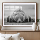 Resting Grizzly Bear Wall Art Canvas Print – Majestic Lazy by MyGreatCanvas | Canvas Wall Art Prints | Photo Prints & Wall Decor
