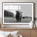 Black and White Highland Cow Wall Art Canvas Print | Rustic