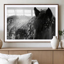 Black Horse in Snow Canvas Print | Winter Horse Wall Art |