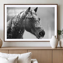 Horse Canvas Print - Winter Horse Snow Wall Art Canvas Print