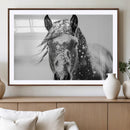 Western Wall Art | Black and White Winter Horse Wall Art | by MyGreatCanvas | Canvas Wall Art Prints | Photo Prints & Wall Decor