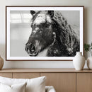 Framed Black and White Horse Wall Art | Ready to Hang and by MyGreatCanvas | Canvas Wall Art Prints | Photo Prints & Wall Decor