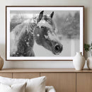 Black Horse Winter Wall Art | Ready to Hang and Framed |