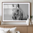 White Horse Wall Art | Ready to Hang and Framed | Winter