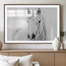 Majestic White Horse Wall Art | Ready to Hang and Framed |