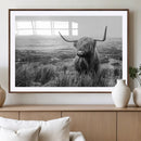 Scottish Highland Cow Wall Art | Black and White Canvas