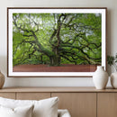 Framed Angel Oak Tree Wall Art - 3-Panel Canvas Prints,