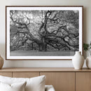 Black White Angel Oak Tree Wall Art - Timeless