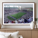 The Texas Christian University TCU Horned Frogs Football