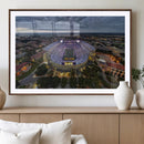 The Louisiana State University Tigers Football Team Print -