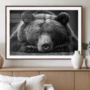 Resting Grizzly 399 Bear Canvas Print | Ready to Hang Wall