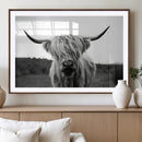 Highland Cow Wall Art | Black and White Farmhouse Decor |