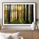 Sunlit Forest Wall Art Canvas Print – Large Framed Woodland