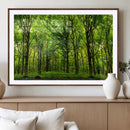 Lush Green Forest Canvas Print | 3-Panel Forest Wall Art | by MyGreatCanvas | Canvas Wall Art Prints | Photo Prints & Wall Decor