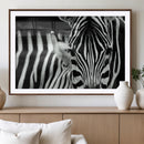 Zebra Wall Art – Zebra Close Up Wall Art – Framed Black by MyGreatCanvas | Canvas Wall Art Prints | Photo Prints & Wall Decor