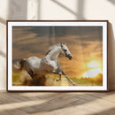 Large Wall Art Galloping White Horse at Sunset Canvas Print
