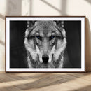 Black and White Wild Wolf Wall Art Canvas Print