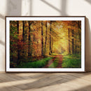 Sunlight Through Trees Wall Art Canvas Print - Autumn Forest