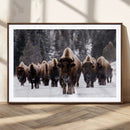 Bison Wall Art Canvas Print- Bison Herd Canvas Wall Art –
