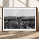 Black and White Highland Cow Canvas Wall Art, Longhorn by MyGreatCanvas | Canvas Wall Art Prints | Photo Prints & Wall Decor