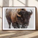 Bison Wall Art Canvas Print For Farmhouse, Wild Animal Wall by MyGreatCanvas | Canvas Wall Art Prints | Photo Prints & Wall Decor