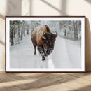 Bison Wall Art Canvas Print For Farmhouse, Animal Canvas by MyGreatCanvas | Canvas Wall Art Prints | Photo Prints & Wall Decor