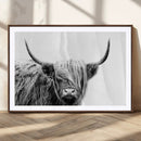 Black White Scottish Highland Cow Cattle Art Print Farmhouse