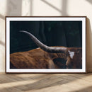 Texas Longhorn Bull Wall Art Canvas Print - Large Framed by MyGreatCanvas | Canvas Wall Art Prints | Photo Prints & Wall Decor