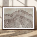 Tree Ring Wall Art Triptych, Rustic Wood Ring Canvas Print,