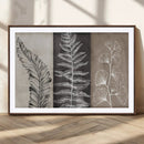 Minimalist Botanical Wall Art Canvas Print, Framed and Ready