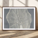 Abstract Tree Ring Wall Art Canvas Print – Nature-Inspired, by MyGreatCanvas | Canvas Wall Art Prints | Photo Prints & Wall Decor