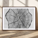 Rustic Tree Ring Wall Art Canvas Print – Framed and Ready to