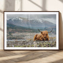 Highland Cow Horn Farm Wall Art Canvas Print