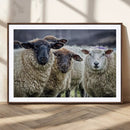 Charming Sheep Portrait Wall Art – Trio of Woolly Companions by MyGreatCanvas | Canvas Wall Art Prints | Photo Prints & Wall Decor