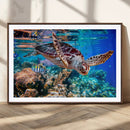 Underwater Coral Reef Sea Turtle Wall Art Canvas Print,