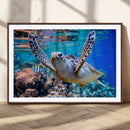 Underwater Sea Turtle Wall Art Canvas Print – Vibrant Ocean